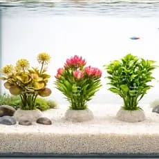 Kit 2 Plantas De Aquário Coloridas 10cm Para Decorações Enfeites