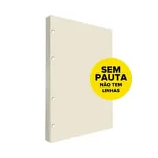 Refil Argolado Sem Pauta 90g 80 folhas Universitário Colegial A5