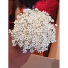 Buquê Flores Sempre Vivas Coloridas Para Decoração de Ambientes e Arranjos Florais