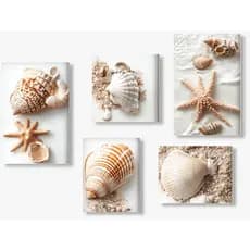 Kit 5 Quadros Decorativo Mdf Sala Grande Conchas Mar Praia Boho Chic Bege Colorido quarto cozinha banheiro escritorio