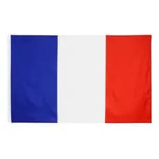 Bandeira França Oficial S/Anilhas 90x60 Cm Cores Fortes