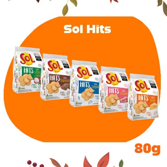 Kit 10 - Biscoitos Salgado Sol Hits Churrasco, Queijo, Original, Presunto 80g