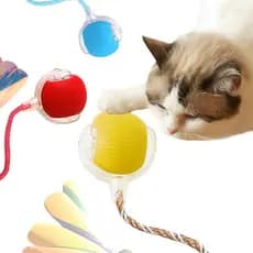 Bola Elétrica Brinquedo Para Gato Pet Inteligente Automático cor aleatorias