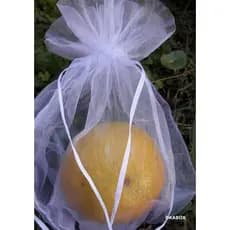100 Sacos Para Proteção Frutas No Pe Lavável  10 X 15 cm