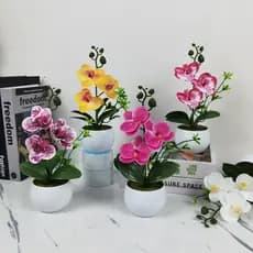 Flor Artificial Phalaenopsis vaso planta decoração de escritório em casa ornamentos fotografia Bonsai planta verde