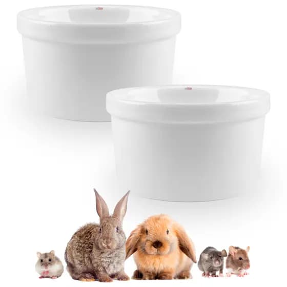 Kit 2x Comedouro Bebedouro Porcelana Porquinho Índia 135ml