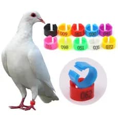 100 Anilhas Numeradas 8mm - Ideal para Pombos, Codorna, Periquitos e Pintos