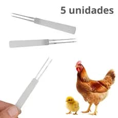 5 Unidades Agulha Aplicador De Vacina Bouba Aviaria