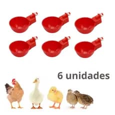6 Bebedouro Automático P/ Galinhas Frangos Pintinhos Patos - Tipo Copo Copinho Tigela O Melhor