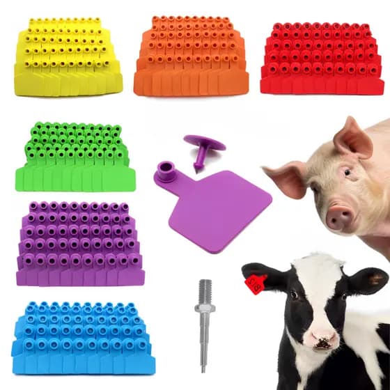 50 Brincos Médio 4CMx5CM Lisos P/ Bovinos, Ovinos Porco