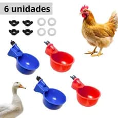 6 Bebedouro Automático Premium para Galinha Ave Pintinho Pato, com Copos Vermelho Azul