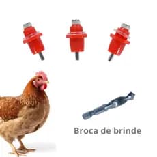 20 unidades Bebedouro Automático Bico nipple para aves Galinhas Frango Codorna Pintinho