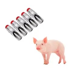 5 Bico Bebedouro Automático Inox Suínos Porcos Chupetas
