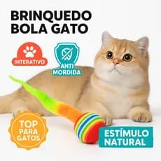 Brinquedo Bola Gato Interativo EVA com Lagarta Colorida Anti Mordida Arranhão Estimula Caça Diversão