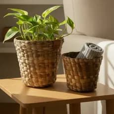 Kit com 2 Vasos para decoracao e plantas em palha de taboa Cimbidio P e M