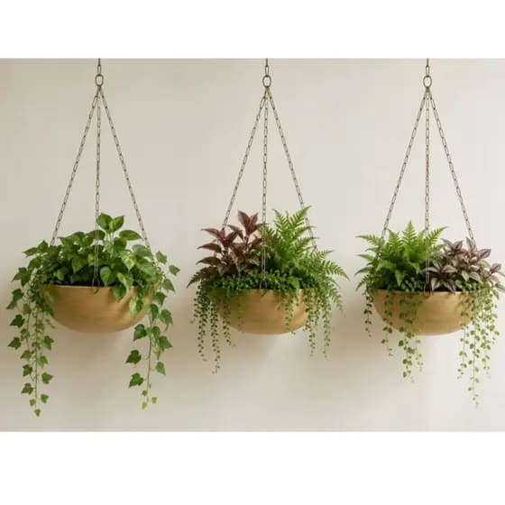 Kit com 3 Vasos bacia em polietileno M ideal para plantas cactos, samambaias, COM CORRENTE para Pendurar, área externa
