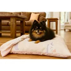 Colchonete (40x50cm ) com cobertor que brilha no escuro para cães e gatos de pequeno e médio porte