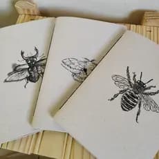 Kit 3 CADERNOS / SKETCHBOOK  Insetos A5 para escrita, bullet journal, desenho, pontilhado, pautado e liso.