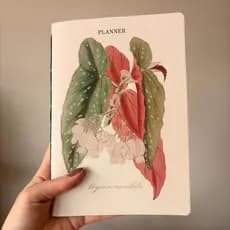 Agenda Planner Semanal 2026 Begônia ou Capa Personalizada A5.