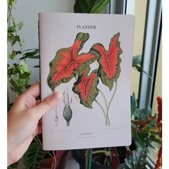 Planner Anual 2026 Caladium botânico ou capa personalizada A5