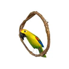 Papagaio De Galho Mini Decoração De Jardim Varanda Casa