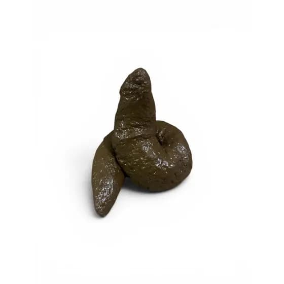 Cocô de Brinquedo