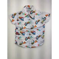 Camisa Leo o Caminhão Temática Roupa Infantil Blusa temática Festa de Aniversário
