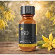Óleo Essencial de Ylang Ylang Premium Puro Tropfen 10 ml