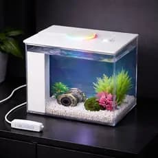 Aquario Mini Beteira Completo 2L Com Iluminação Led e Filtro Bivolt USB Ideal Para Peixe Betta