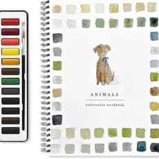 Livro De Exercícios Em Aquarela Adequado Para Iniciantes , De Pássaros Pintura Infantil Graffiti Arte Amigos Materiais P