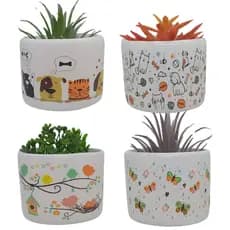 1 vasinho para suculentas decoração de casa amantes de pets cachorros gatos