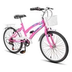 Bicicleta Infantil Aro 20 Dks Dolphin Com marcha Cesta Garupa