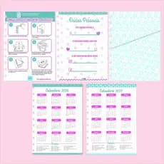 Folha de Informações + Calendários + Bolso de papel para Caderno de Disco Sistema Inteligente