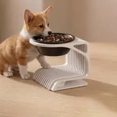Comedouro Ergonômico Premium para Gatos e Cães, suporte elevado de tigela para ração