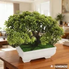 bonsai para decoração