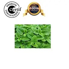 Óleo Vegetal de Erva Cidreira 250ml Prensado a frio com laudo