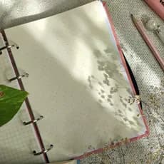 REFIL/FOLHAS de caderno argolado A5 - refil pautado - refil pontilhado - refil quadriculado