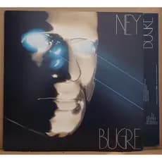 LP Disco De Vinil Ney Matogrosso - Bugre - Com Encarte LP Excelente Capa Excelente Ler Descrição