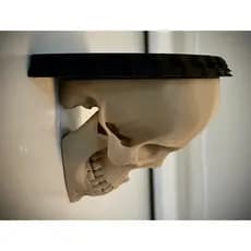 Decoração 3D para Parede Prateleira de Crânio Humano