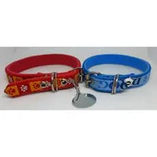 coleira para cães com placa de identificação tam p