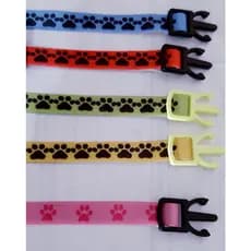 Coleira Anti Enforcamento para Gatos + Placa de Identificação