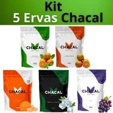 Kit Com 5 Erva Mate Tereré Chacal 500g Escolha os Sabores