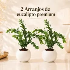 Kit 2 Cachepot Decorativo Arranjo Completo de Eucalipto Com Vaso
