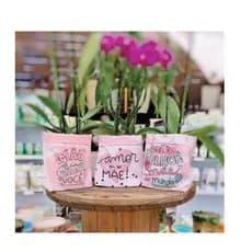 Embalagem Dia das Mães - Cachepot Para Flores, Cestas e Presentes, Cachepot Maquiagens