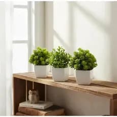 Planta Artificial Suculenta Vaso Branco Luxo 3 Unid