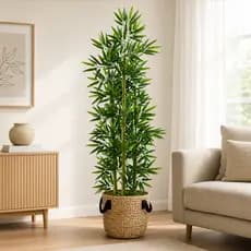 Planta Artificial Bambu Da Sorte Real Toque Decoração