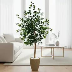 Planta Artificial Fícus Variegara Decoração Com Vaso