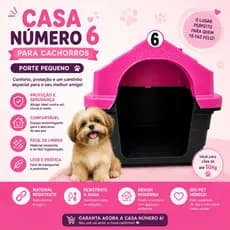 Casa Casinha Cachorro N6 Porte Pequeno a Médio Conforto e Proteção Chuva Sol