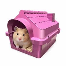 Casa Mini Para Coelhos e Similares | Tamanho Miniatura Filhotes Com Brinde