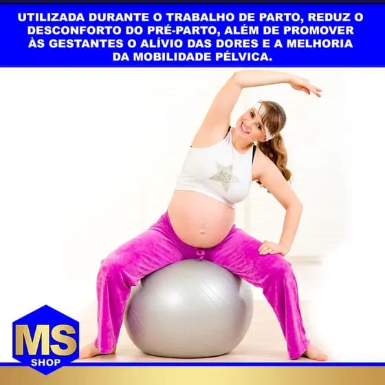 Bola de Ginástica Suíça Yoga Pilates 65cm Bola de Pilates Inflável Anti Estouro PRATA + Bomba